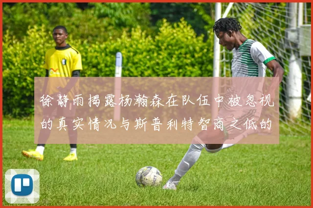 徐静雨揭露杨瀚森在队伍中被忽视的真实情况与斯普利特智商之低的尴尬真相