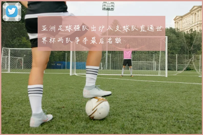 亚洲足球强队出炉八支球队直通世界杯两队争夺最后名额