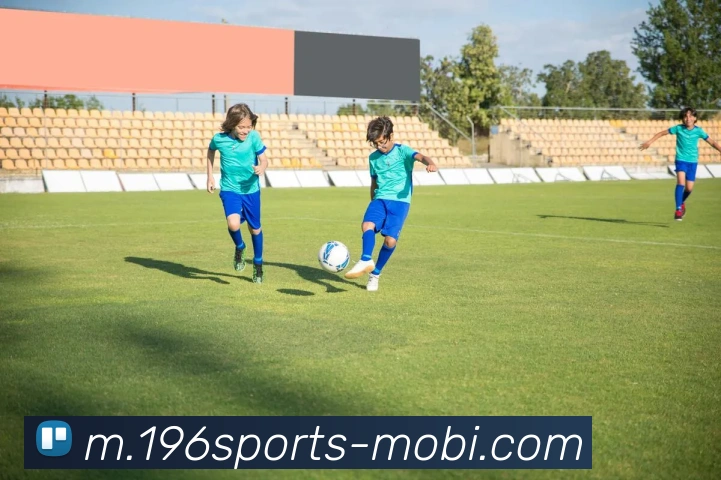 196体育发展历程